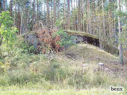[Widok strzelnic]