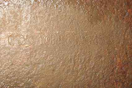 [P�yta pancerna 78P9]