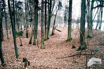 [Dzie�o piechoty Kr�lewski D�b]