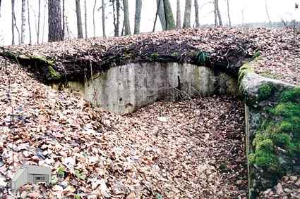 [Dzie�o piechoty Kr�lewski D�b]