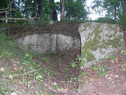 [Dzie�o piechoty Kr�lewski D�b]