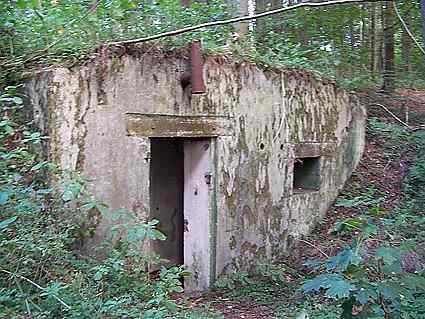 [Dzie�o piechoty Kr�lewski D�b]