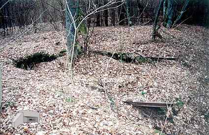 [Dzie�o piechoty Wielka Guzianka P�noc]