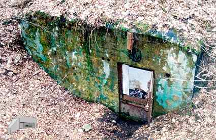 [Dzie�o piechoty Wielka Guzianka P�noc]