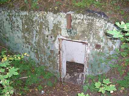 [Dzie�o piechoty Wielka Guzianka P�noc]