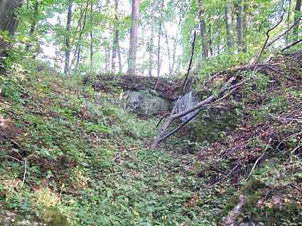 [Dzie�o piechoty Wielka Guzianka Po�udnie]