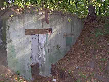 [Dzie�o piechoty Wielka Guzianka Po�udnie]