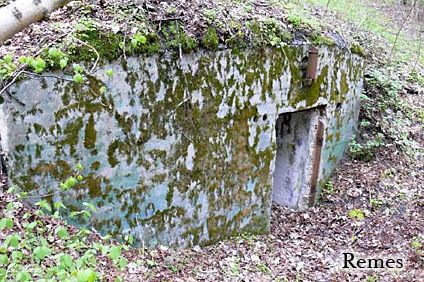 [Dzie�o piechoty Wielka Guzianka P�noc]