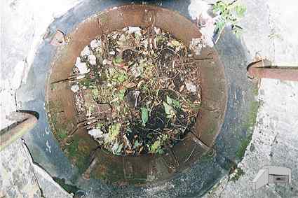 [Kopu�a obserwacyjna]