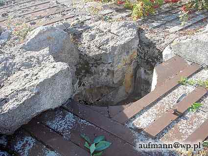 [Kopu�a obserwacyjna]