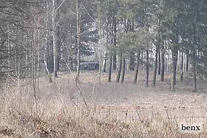 [Widok schronu z drogi]