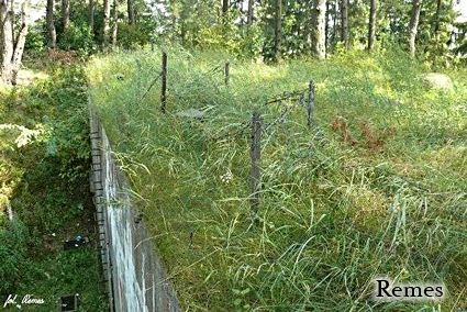 [Widok od wej�cia]