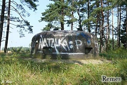 [Kopu�a pancerna 20P7]