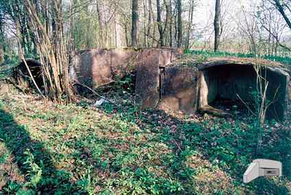 [Bateria wie�yczek przewo�nych]