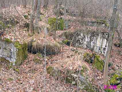 [Dzie�o piechoty Szymonka Zach�d]