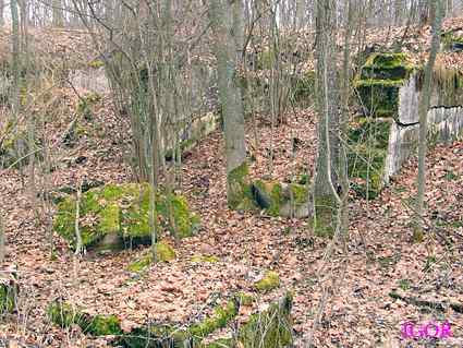 [Dzie�o piechoty Szymonka Zach�d]