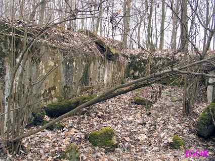 [Dzie�o piechoty Szymonka Wsch�d]