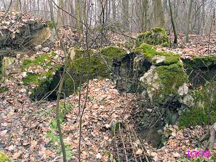 [Dzie�o piechoty Szymonka Wsch�d]