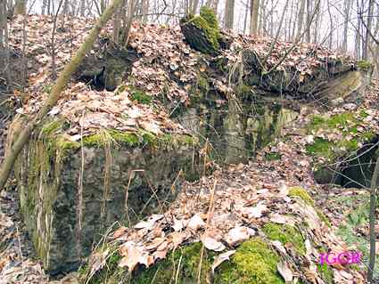 [Dzie�o piechoty Szymonka Wsch�d]