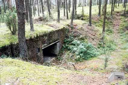 [Schron dla dzia�a ppanc]