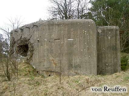[Widok strzelnicy]