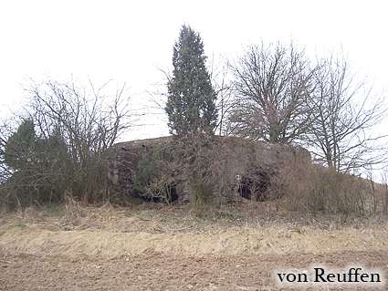 [Widok od strony strzelnic]