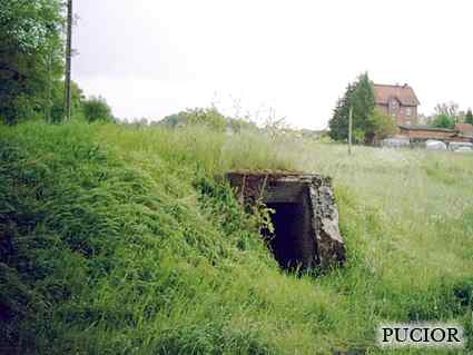 [Schron plot]