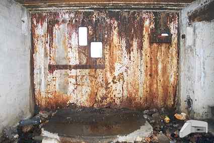 [P�yta pancerna 473P2]