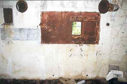 [P�yta pancerna 422P01]