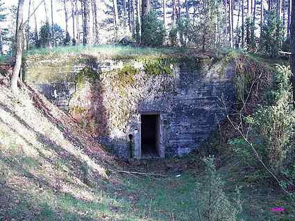 [Wej�cie do schronu]