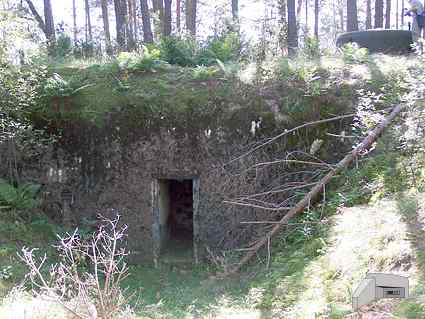 [Wej�cie do schronu]