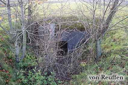 [Widok od wej�cia]