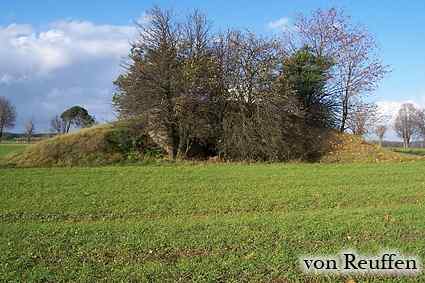 [Widok od strony strzelnicy]