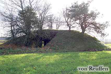 [Widok od strony wej�cia]