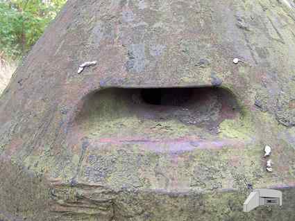 [Kopu�a obserwacyjna]