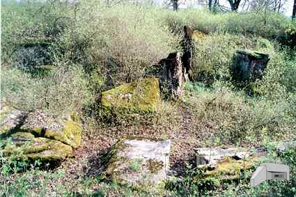 [Dzie�o piechoty Zielony Gaj]