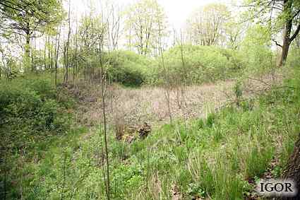 [Dzie�o piechoty Zielony Gaj]