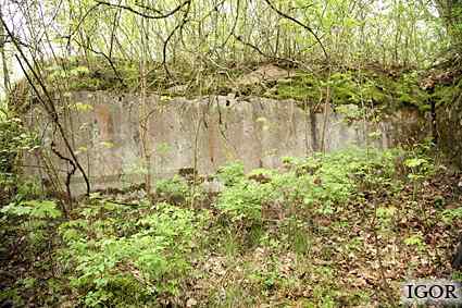 [Dzie�o piechoty Zielony Gaj]