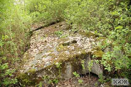 [Dzie�o piechoty Zielony Gaj]