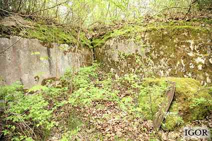 [Dzie�o piechoty Zielony Gaj]