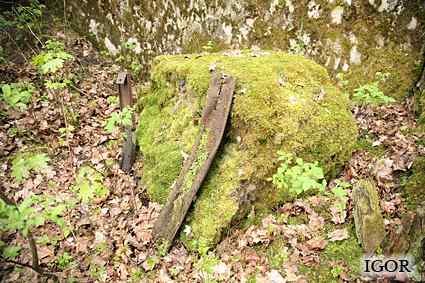 [Dzie�o piechoty Zielony Gaj]