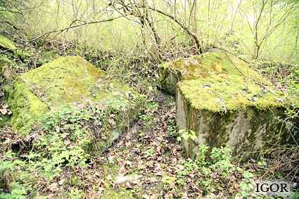 [Dzie�o piechoty Zielony Gaj]