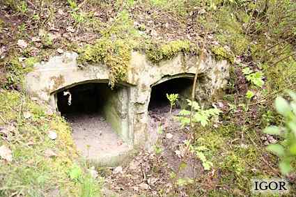 [Dzie�o piechoty Zielony Gaj]