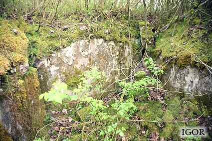 [Dzie�o piechoty Zielony Gaj]