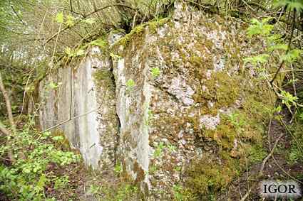 [Dzie�o piechoty Zielony Gaj]