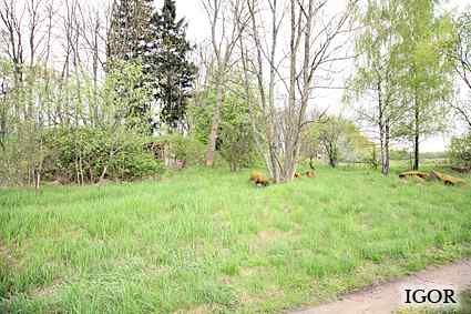 [Dzie�o piechoty Ta�ty]