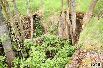 [Dzie�o piechoty Ta�ty]