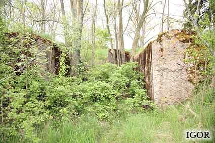 [Dzie�o piechoty Ta�ty]