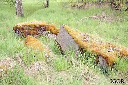 [Dzie�o piechoty Ta�ty]