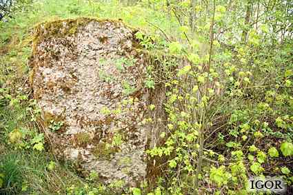 [Dzie�o piechoty Miodu�skie]